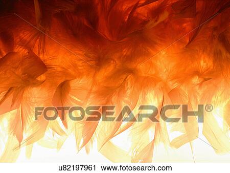 Close-Up, Indoor View Large Photo Image Stock Image - Close-Up, Indoor. Fotosearch