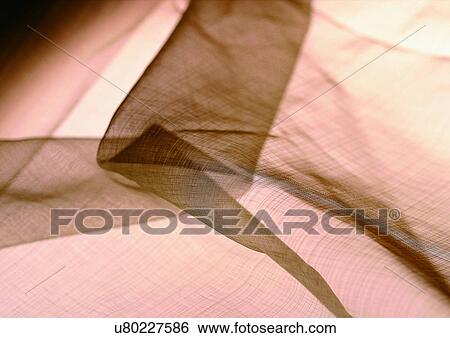 Stock Photograph - Close-Up, Indoor. Fotosearch