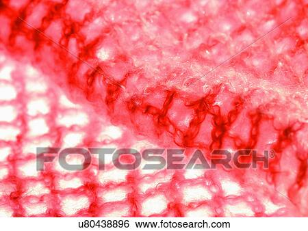 Close-Up, Indoor View Large Photo Image Stock Photograph - Close-Up, Indoor. Fotosearch