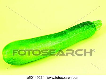close-up, melon, vine View Large Photo Image Picture - close-up, melon, vine. Fotosearch