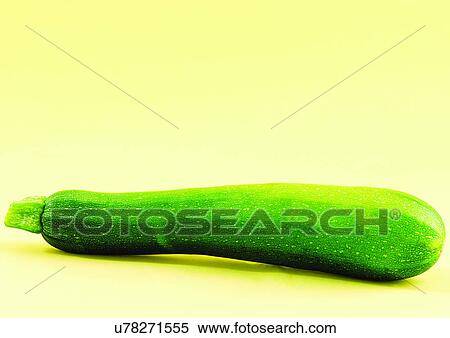Stock Photography - close-up, melon, vine. Fotosearch