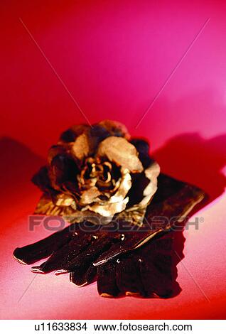 Picture - close-up, still life, beauty, her things. Fotosearch