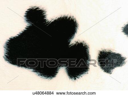 Picture - Close-Up, Texture. Fotosearch