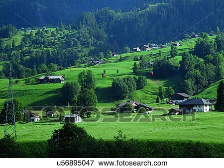 Community, Day, Environment, Field, Grass View Large Photo Image Stock Photo - Community, Day, Environment, Field, Grass. Fotosearch