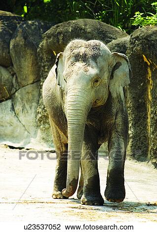 Stock Image - confined, confinement, attitude. Fotosearch