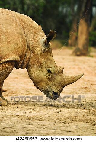 Stock Image - confined, confinement, attitude. Fotosearch