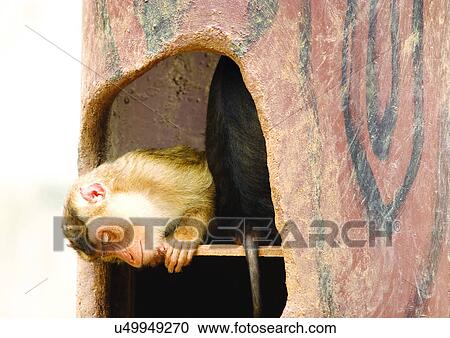 Stock Image - confined, confinement, attitude. Fotosearch