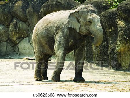 Stock Photo - confined, confinement, attitude. Fotosearch