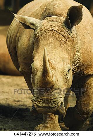 Stock Photography - confined, confinement, attitude. Fotosearch