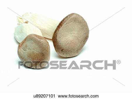 Stock Image - Cut Out, Group Of Objects, Indoor. Fotosearch