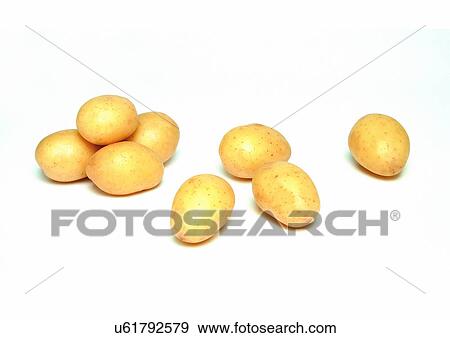Cut Out, Group Of Objects, Indoor View Large Photo Image Stock Photo - Cut Out, Group Of Objects, Indoor. Fotosearch