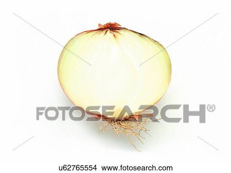 Picture - Cut Out, Indoor, One Object, Part Of. Fotosearch