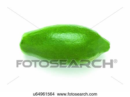 Picture - Cut Out, Indoor, One Object. Fotosearch