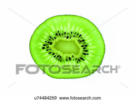Stock Photo - Cut Out, Indoor, One Object. Fotosearch