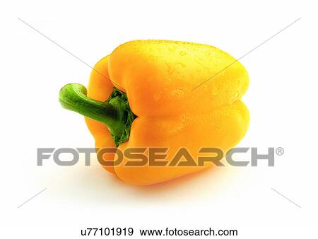Stock Photo - Cut Out, Indoor, One Object. Fotosearch