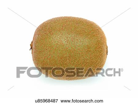 Stock Photo - Cut Out, Indoor, One Object. Fotosearch