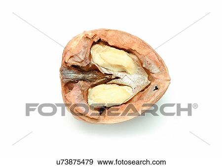 Stock Photo - Cut Out, Indoor. Fotosearch