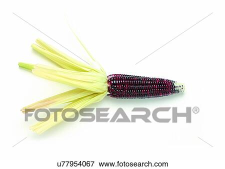 Stock Photo - Cut Out, Indoor. Fotosearch