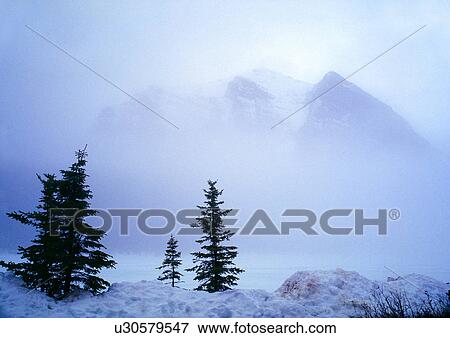Stock Photo - Day, Differential Focus, Outdoor. Fotosearch