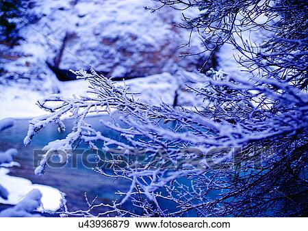 Stock Photo - Day, Differential Focus, Outdoor. Fotosearch