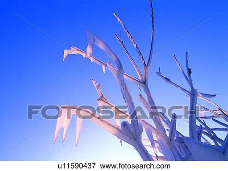 Stock Photo - Day, Directly Below, Outdoor. Fotosearch