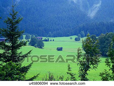 Day, Environment, Field, Grass, Habitat View Large Photo Image Picture - Day, Environment, Field, Grass, Habitat. Fotosearch