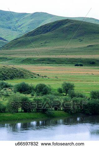 Day, Environment, Field, Grass, Habitat View Large Photo Image Stock Image - Day, Environment, Field, Grass, Habitat. Fotosearch