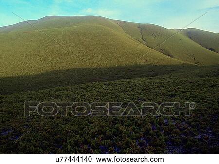 Day, Environment, Field, Grass, Habitat View Large Photo Image Stock Image - Day, Environment, Field, Grass, Habitat. Fotosearch