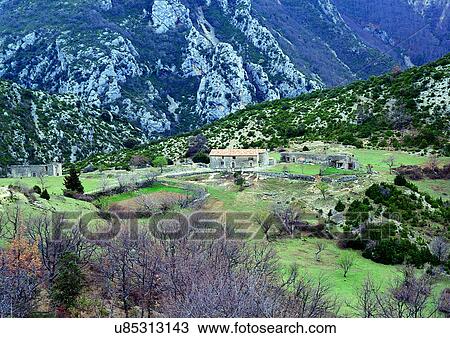 Day, Environment, Field, Grass, Habitat View Large Photo Image Stock Image - Day, Environment, Field, Grass, Habitat. Fotosearch