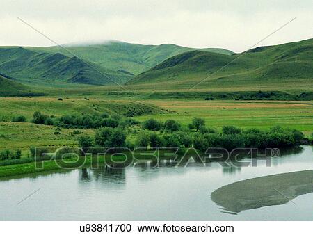 Day, Environment, Field, Grass, Habitat View Large Photo Image Stock Image - Day, Environment, Field, Grass, Habitat. Fotosearch