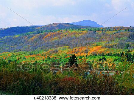 Day, Environment, Field, Grass, Habitat View Large Photo Image Stock Photo - Day, Environment, Field, Grass, Habitat. Fotosearch