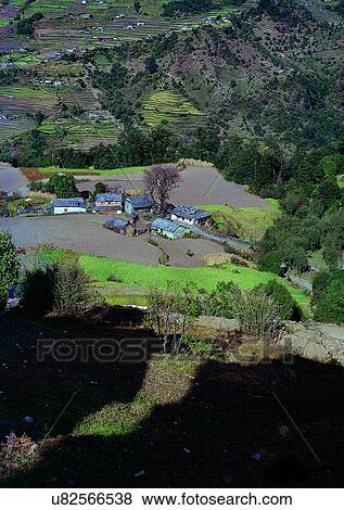 Day, Environment, Field, Grass, Habitat View Large Photo Image Stock Photo - Day, Environment, Field, Grass, Habitat. Fotosearch
