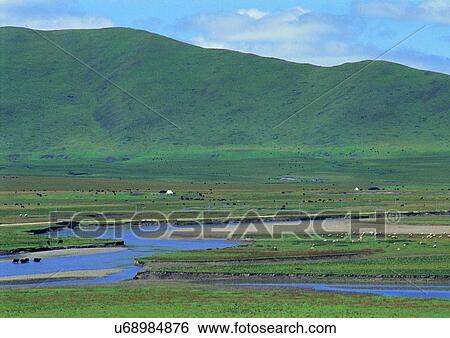 Day, Environment, Field, Grass, Habitat View Large Photo Image Stock Photograph - Day, Environment, Field, Grass, Habitat. Fotosearch
