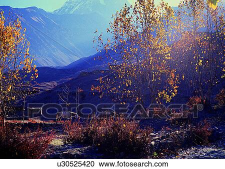 Stock Image - Day, Environment, Habitat, Landscape. Fotosearch