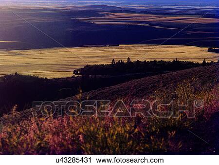 Day, Environment, Habitat, Landscape View Large Photo Image Stock Image - Day, Environment, Habitat, Landscape. Fotosearch