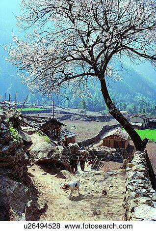 Stock Photo - Day, Environment, Habitat, Landscape, Natural. Fotosearch