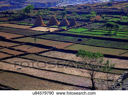 Stock Image - Day, Field, Farm Field, Environment, Agriculture. Fotosearch