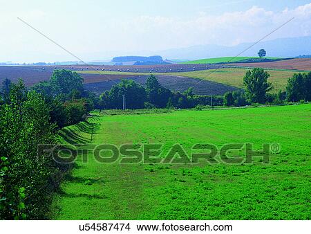 Day, Field, Farming, Environment, Agriculture View Large Photo Image Picture - Day, Field, Farming, Environment, Agriculture. Fotosearch