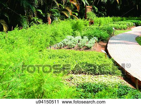 Day, Garden View Large Photo Image Stock Image - Day, Garden. Fotosearch