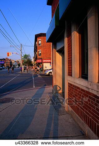 Day, Group Of Animals, One Person, Outdoor View Large Photo Image Stock Photo - Day, Group Of Animals, One Person, Outdoor. Fotosearch