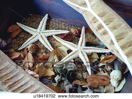 Stock Image - Day, Group Of Objects, Outdoor. Fotosearch