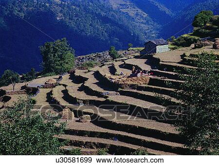 Stock Photo - Day, Habitat, Environment, Agriculture. Fotosearch