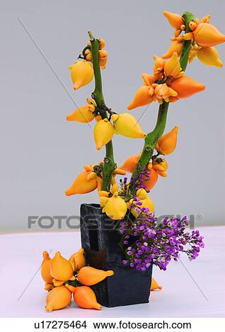 Picture - Day, Indoor, Potted Plant, One Object. Fotosearch