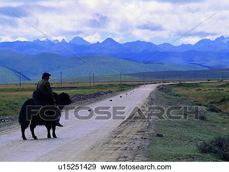 Day, One Animal, One Person, Outdoor View Large Photo Image Stock Photo - Day, One Animal, One Person, Outdoor. Fotosearch