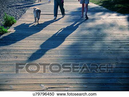 Stock Image - Day, One Animal, Outdoor, Part Of. Fotosearch