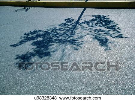 Stock Photo - Day, One Object, Outdoor. Fotosearch