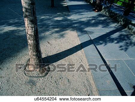 Picture - Day, One Object. Fotosearch