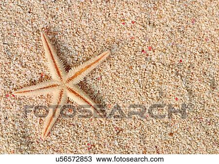 Stock Image - Day, One Object. Fotosearch
