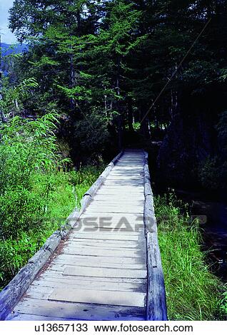 Stock Image - Day, Outdoor, Rural Scene. Fotosearch