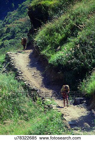 Day, Outdoor, Rural Scene View Large Photo Image Stock Photography - Day, Outdoor, Rural Scene. Fotosearch